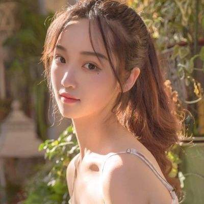 重回法兰城手机版下载